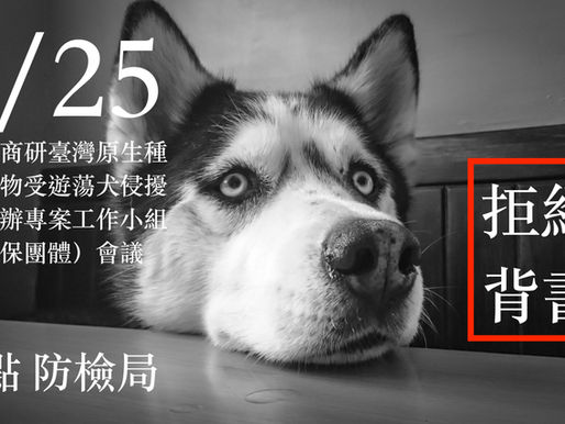 遊蕩不是牠的罪 我們希望所有犬貓都是幸福的毛孩