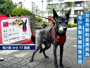 里民為毛孩設計有創意的身份證