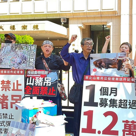 禁山豬吊再戰中選會！萬份民意怒喊「別再沒收公投」