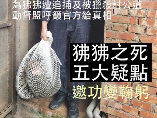 為狒狒遭追捕及被獵殺討公道,動督盟提出五大疑點呼籲官方給真相