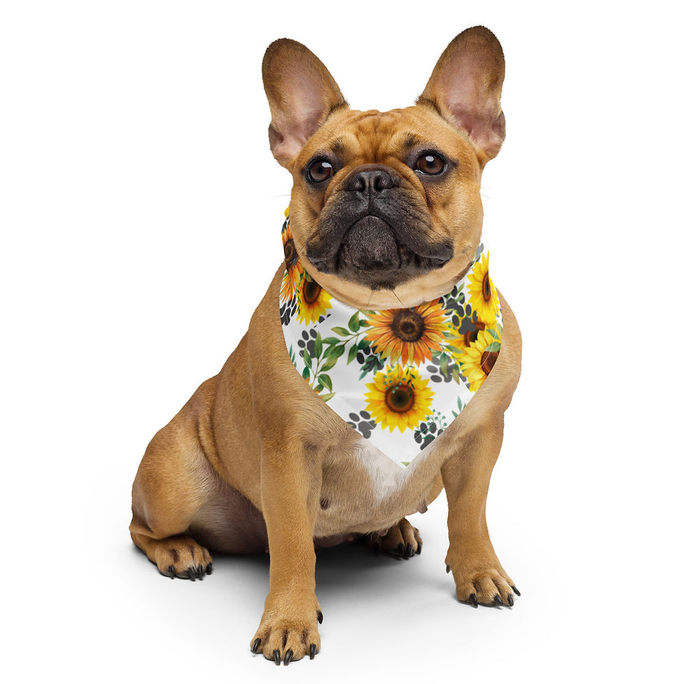 Sunflower & Puppy Paws Dog Bandana | Cute Pet Accessory | Kessler’s Press