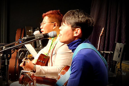 가수 노래하는 나무