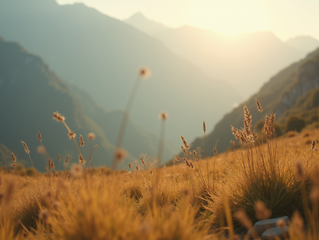 幅広いターゲット層向け：ワンストップ工事会社の提案