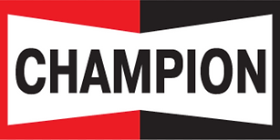 CHAMPION palam pencucuh dari china
