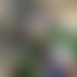 School Closed? Resources for Parents with Kids at Home
