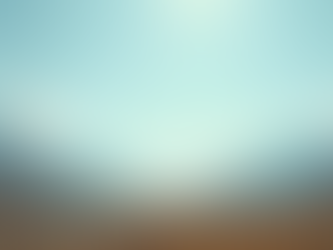 Top 10 Photography Tips for Stunning Shots