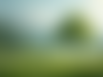 Mastering Portrait Photography: Techniques and Tips