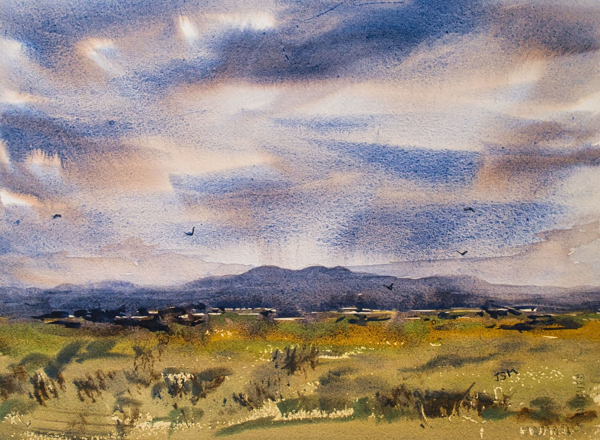 Jenny Mountford