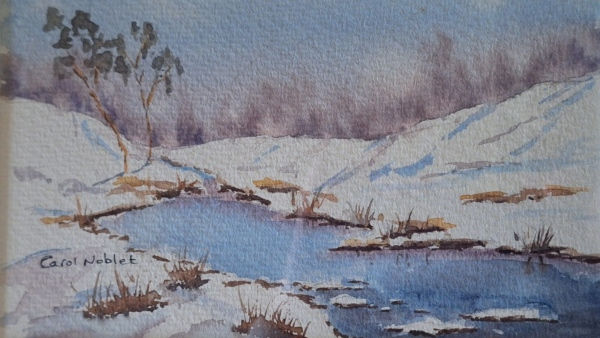 Carol Noblet