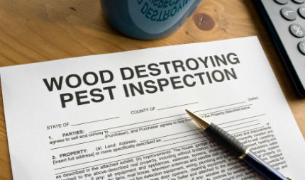 Thumbnail: Termite Inspections