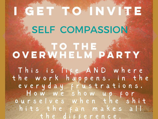 WHEN THE SHIT HITS THE FAN