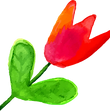 Flor
