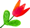 flor
