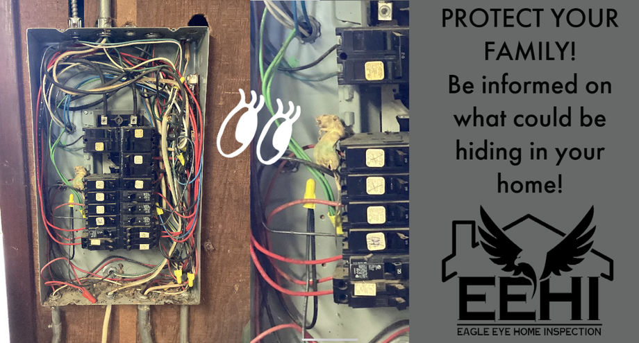 Panel Mouse Home inspections in Northeast Ohio