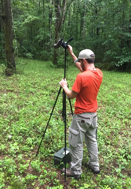 North American Bat Monitoring Program | United States | Canada | NABat