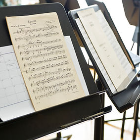 Beginner Music Lessons