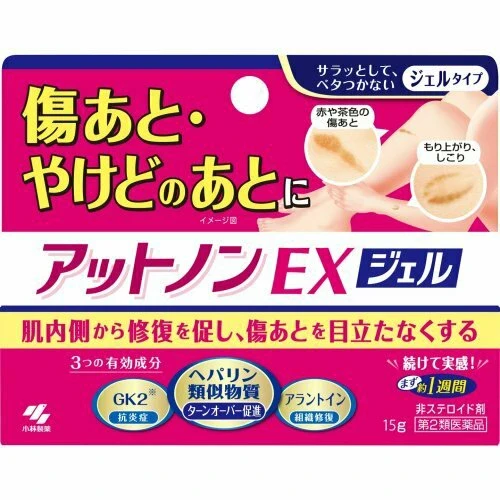 Atnon EX Gel 15g | Omakase JP Wholesale