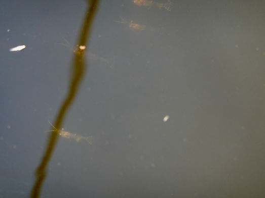DSC02096.jpeg