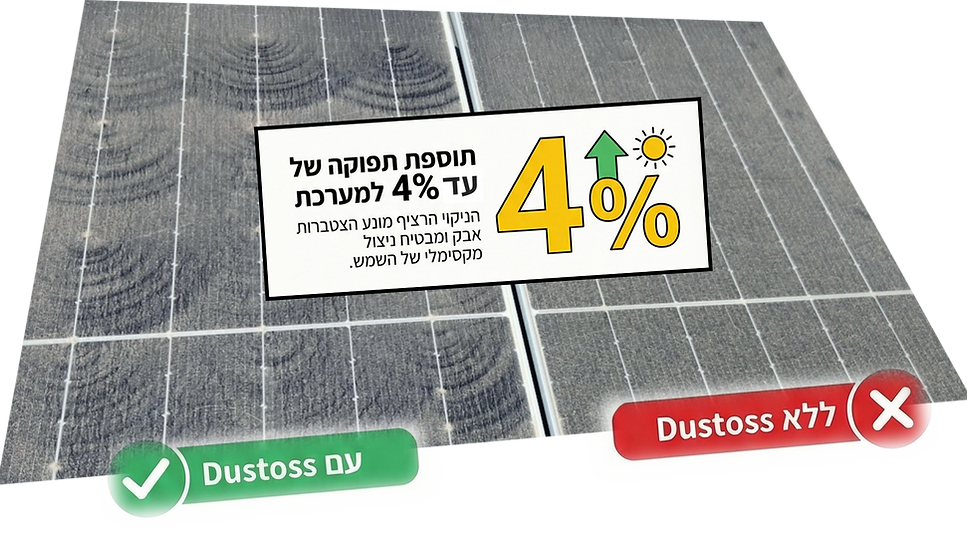 תמונה5.png