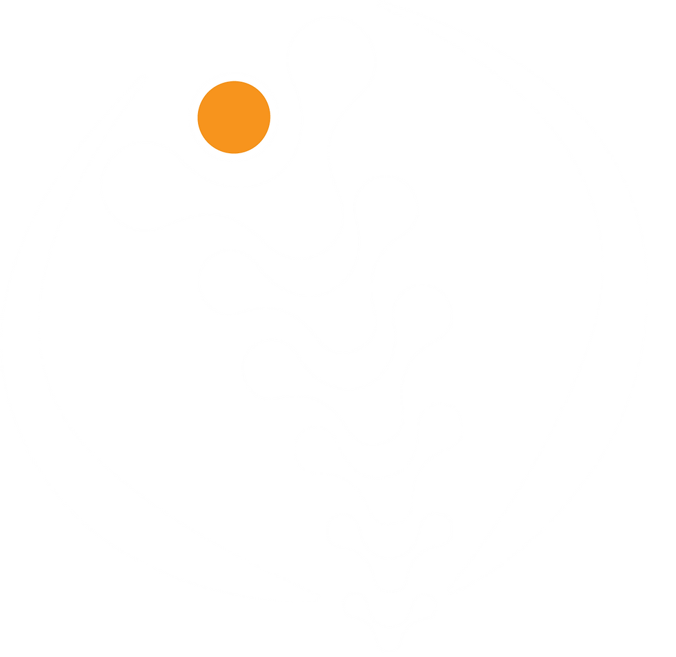 SWK_logo_only_white2024.png