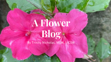 A Flower Blog