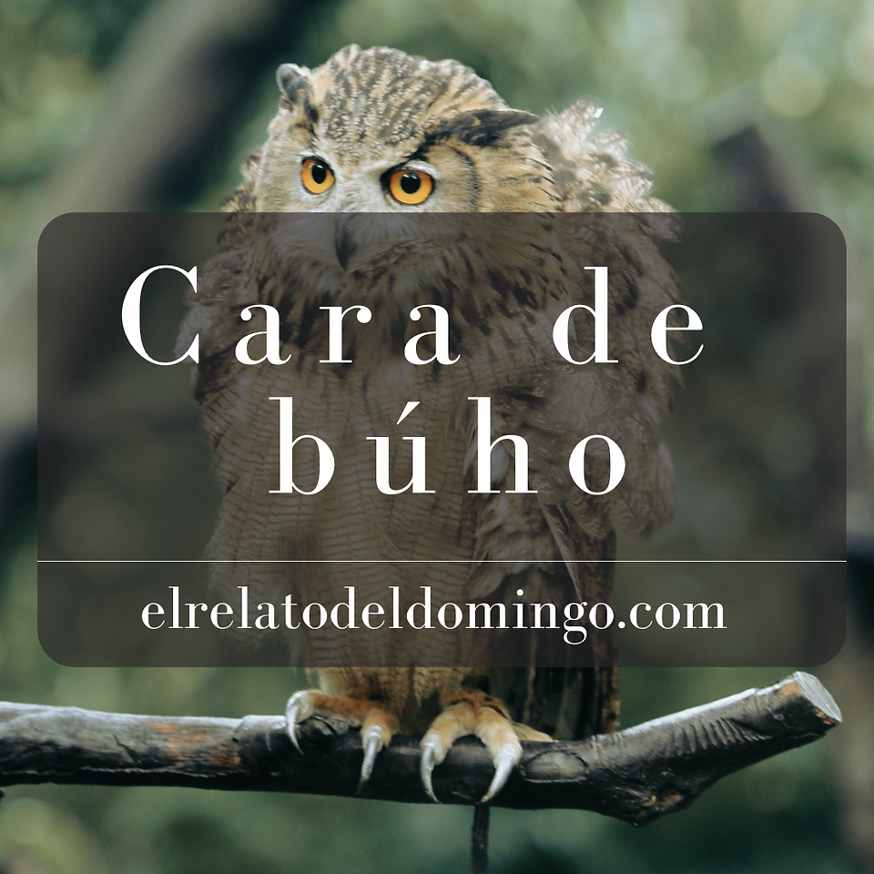 Cara de Búho