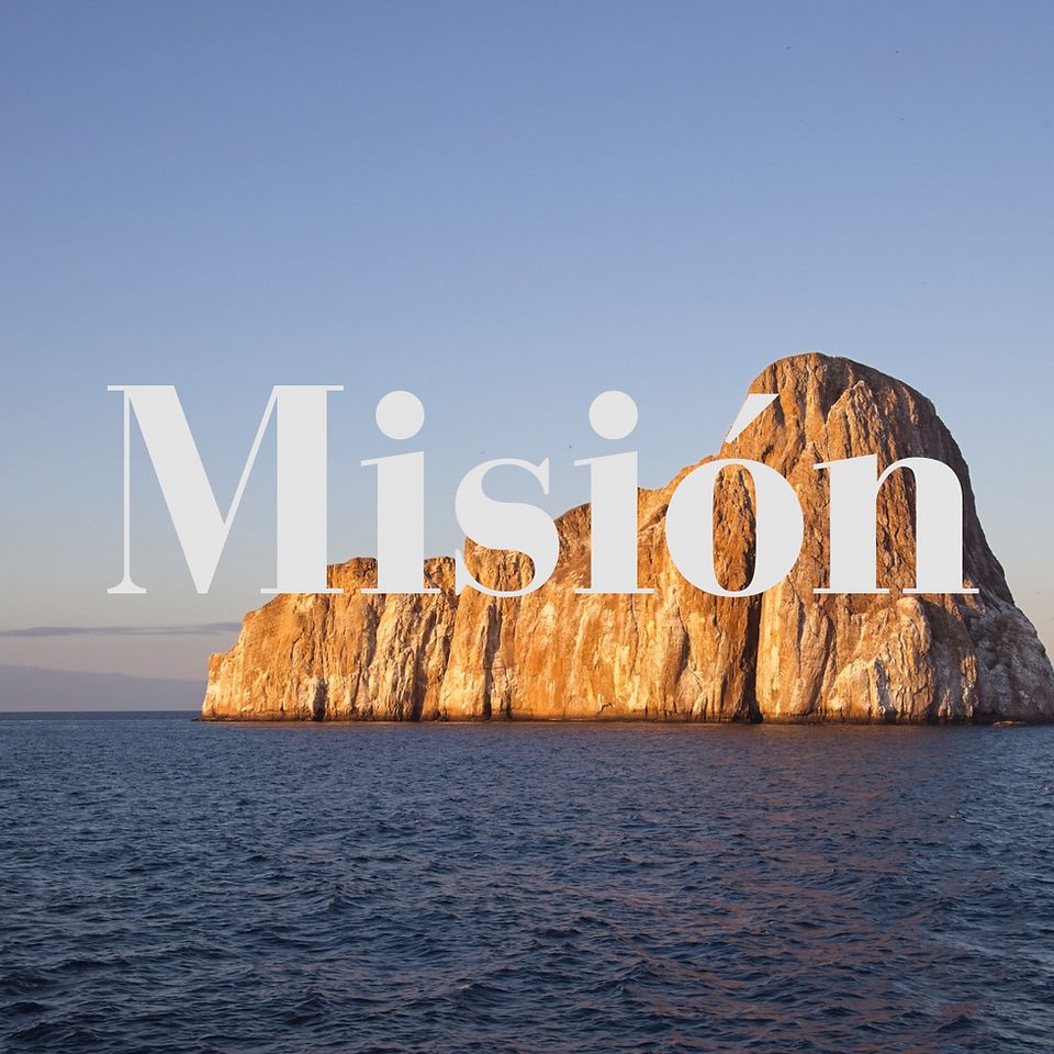 Misión