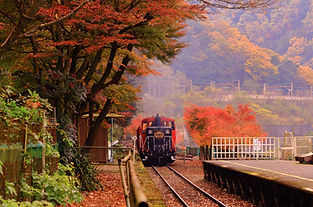 pixta_57101875_XL.jpg