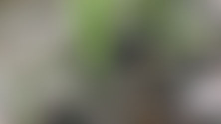 Turning shit into compost