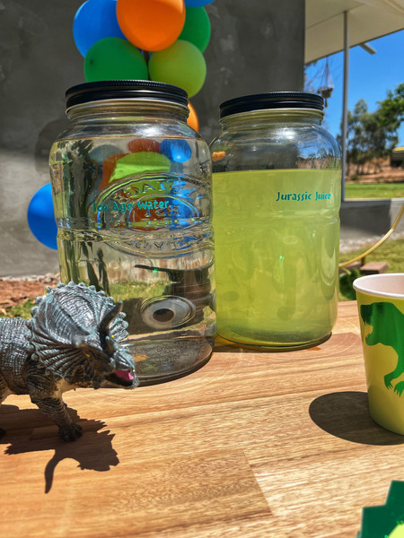 Dinosaur Kids Party