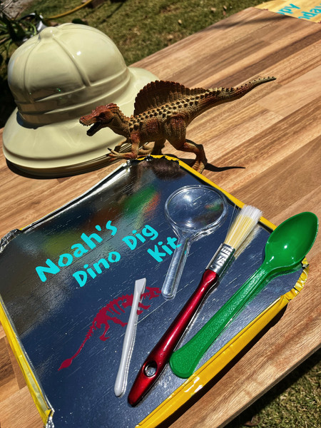 Dinosaur Kids Party