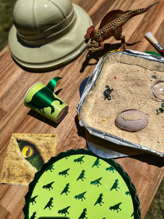 Kids Dinosaur Party