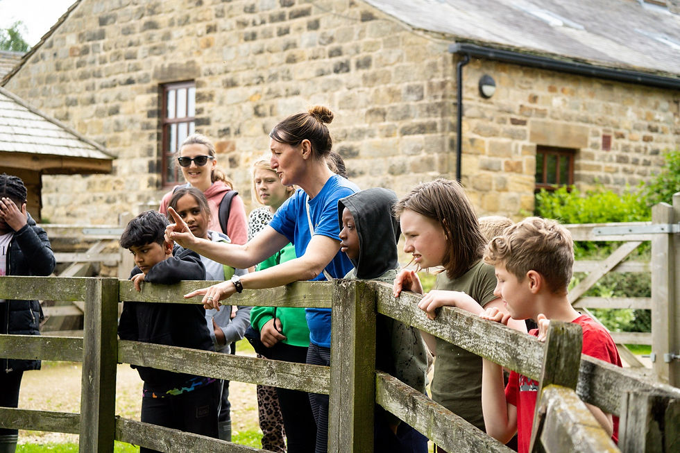 Creating Summer Memories: £2,370 Grant to Leeds Children’s Charity at Lineham Farm