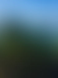 Woodloch and Strange Things