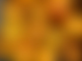 受験生応援企画🍊いい予感風呂