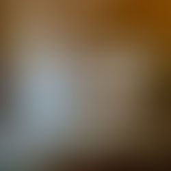 【おしらせ】ふるさと納税で「じょんのび館」の入館券をGET！