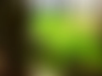 【イベント情報】