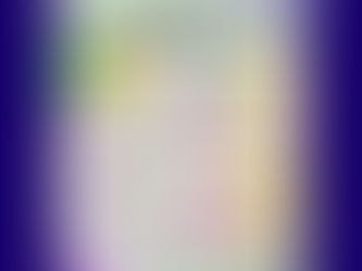 8月のイベントを紹介します!