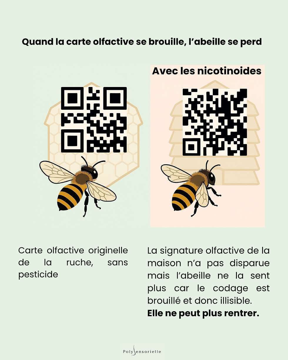 Le QR code de la ruche se modifie