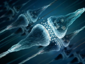 Troubles de la mémoire & de la concentration, dérégulation du système nerveux: les règles principales de la Neurogenèse
