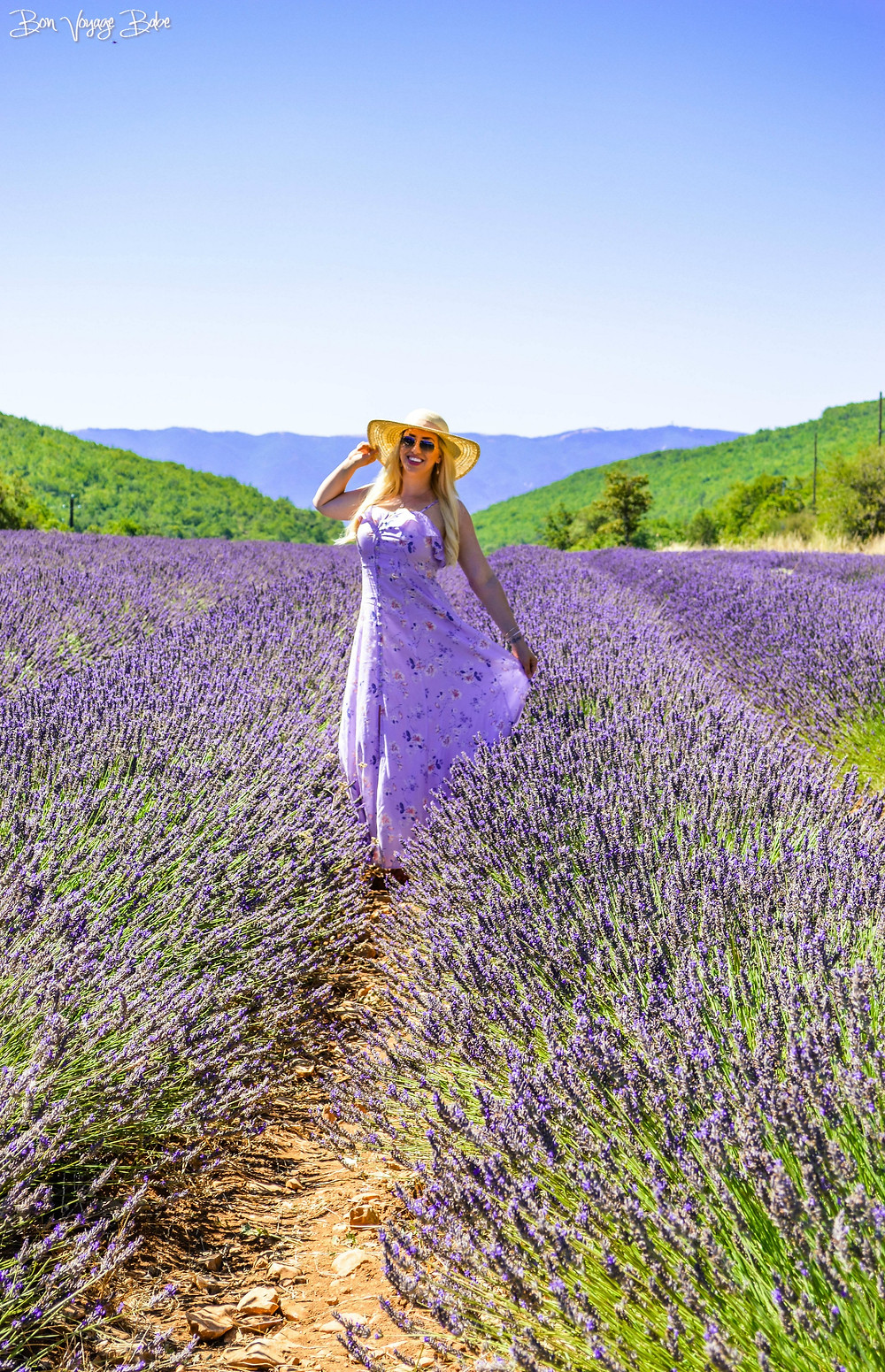 French Lavender Fields