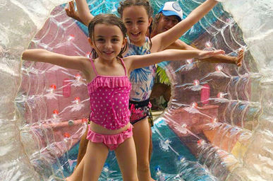 Xtreme Zorb balls