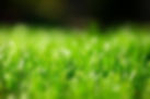 istockphoto-1148122813-612x612.jpg