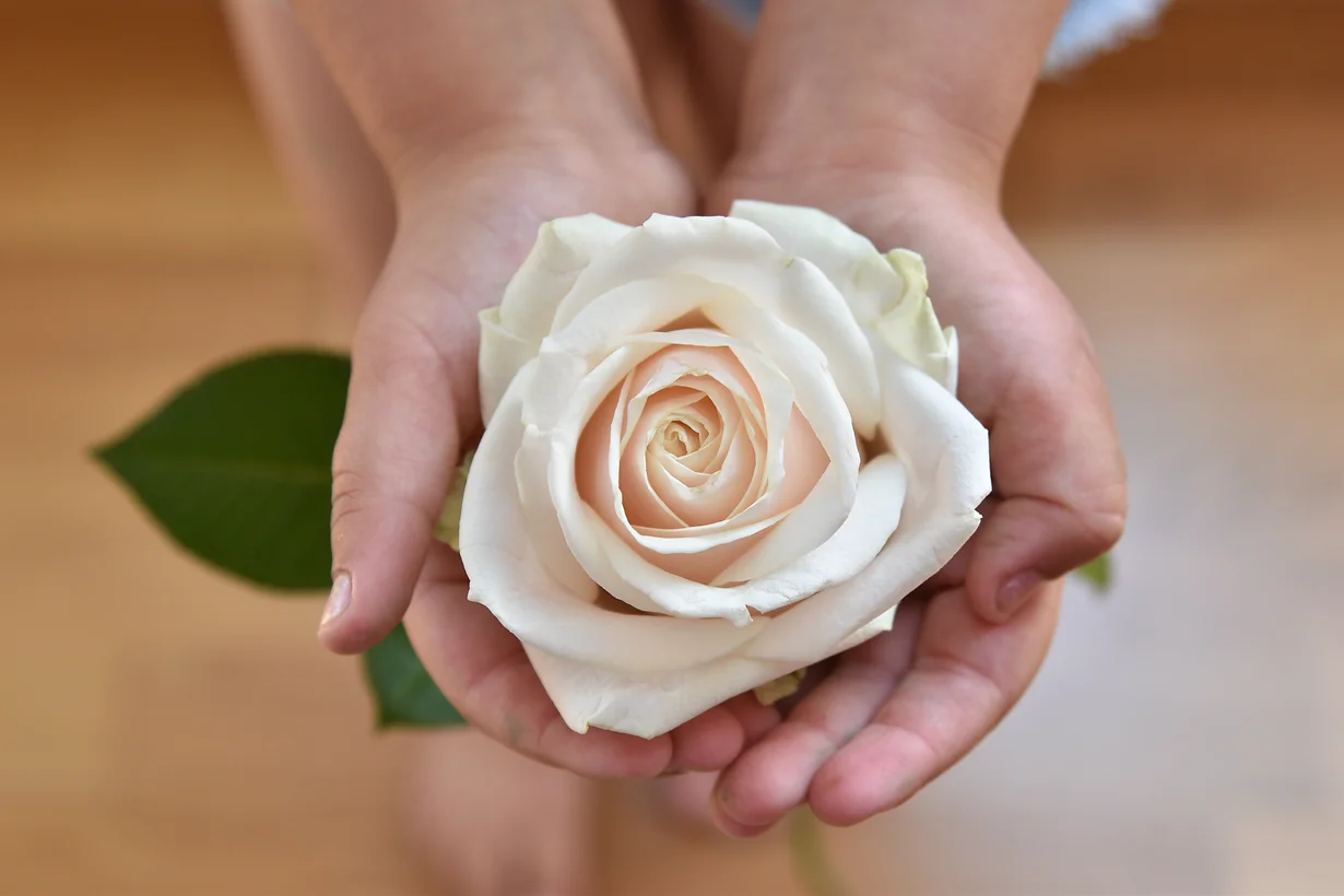 adelinesottiaux.com image 1.webp