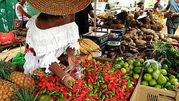 Identidad en la Literatura