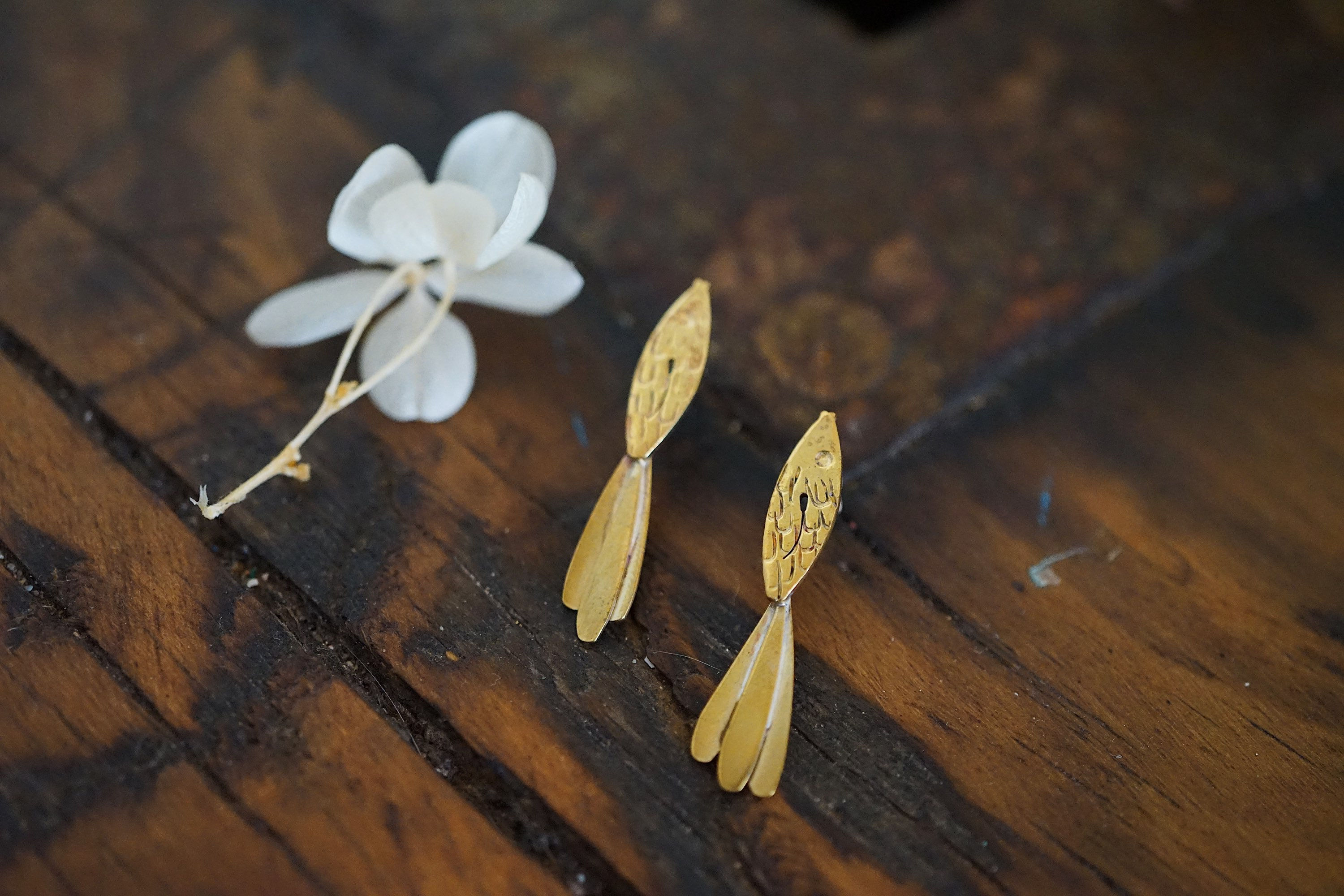 Pequeños peces LISTOS PARA ENVIAR