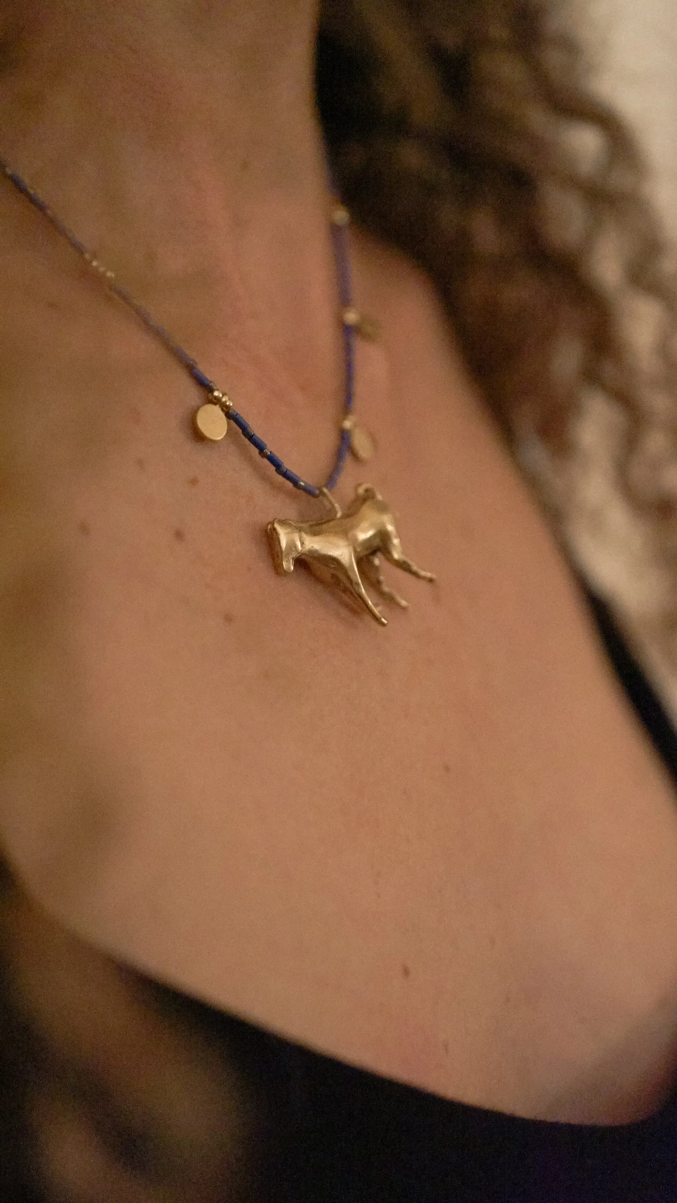 Collar caballo de colores