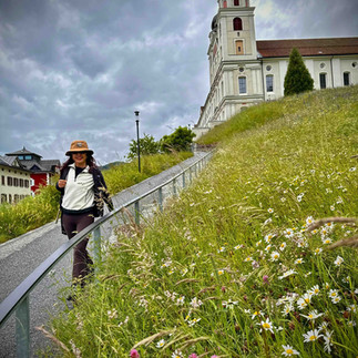 Woman walking up a paved hill path lined with wildflowers towards a baroque church under cloudy skies.