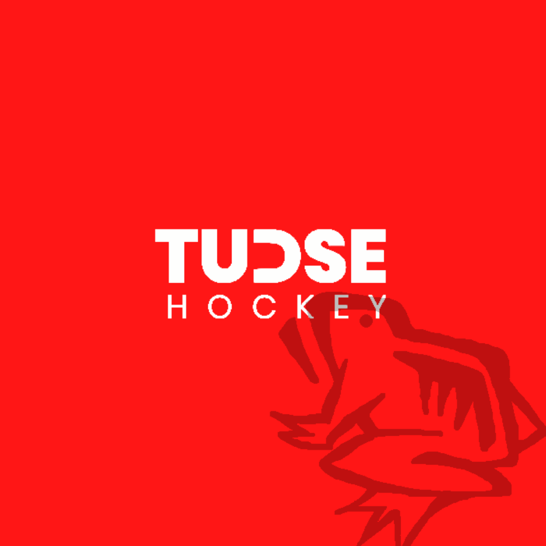 Writer: TUDSE hockey