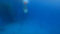 GH011109_1637912383107.jpg